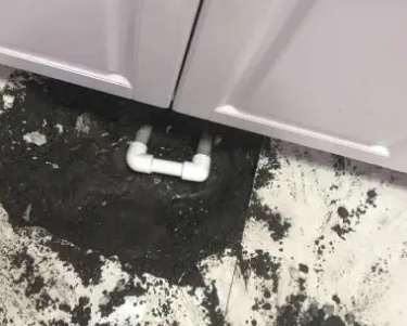 临朐查漏水哪家好